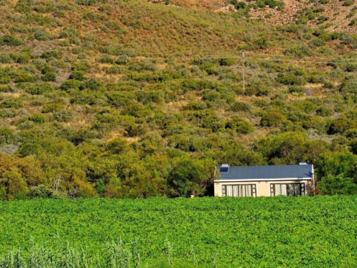 Mymering Wine & Guest Estate 라디스미스 외부 사진